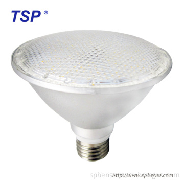 Professional Manufacturer of LED PAR20 PAR30 PAR38 Light Bulb
